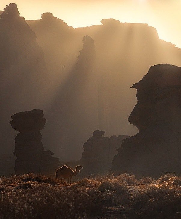 Saudi — photograph from the tour itinerary