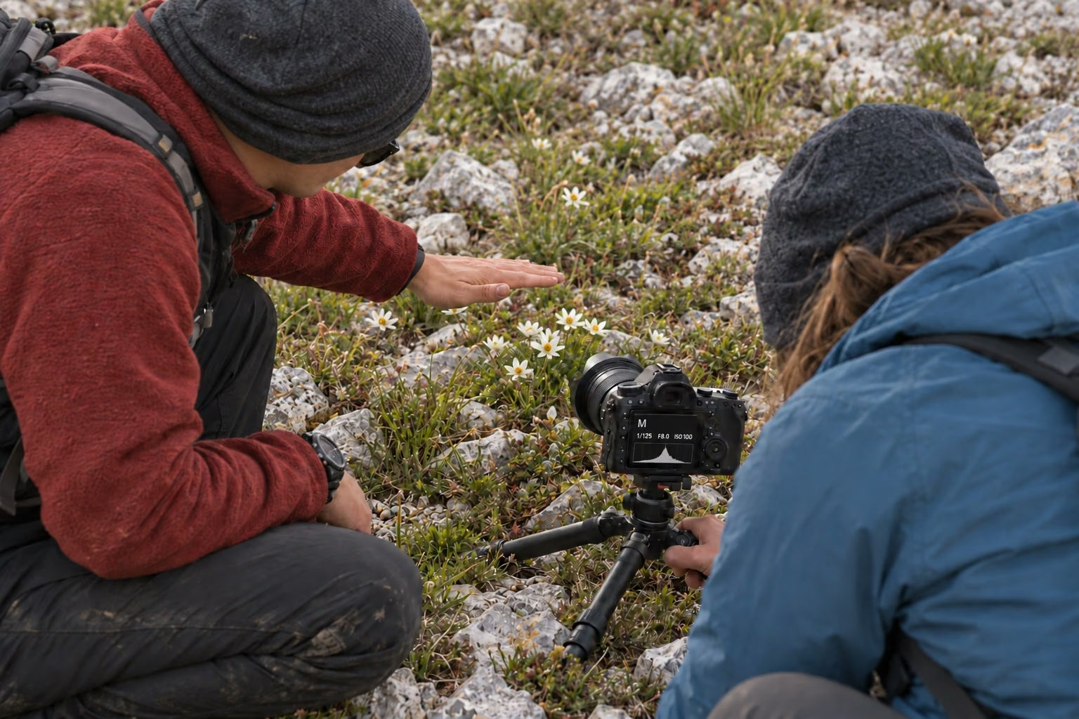 An instructor helping a photographer compose a scene among summer alpine flowers