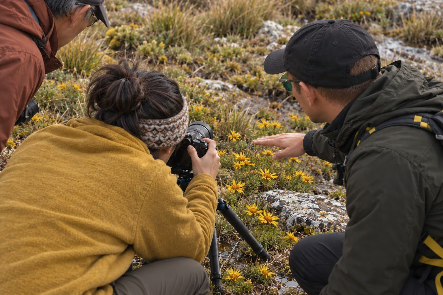 An instructor helping photographers compose yellow alpine flowers in the Peruvian mountains.