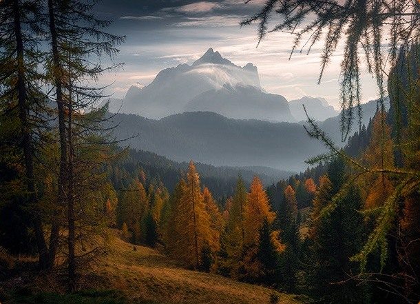 Golden larches framing a misty mountain valley beneath a rocky peak in the Dolomites.