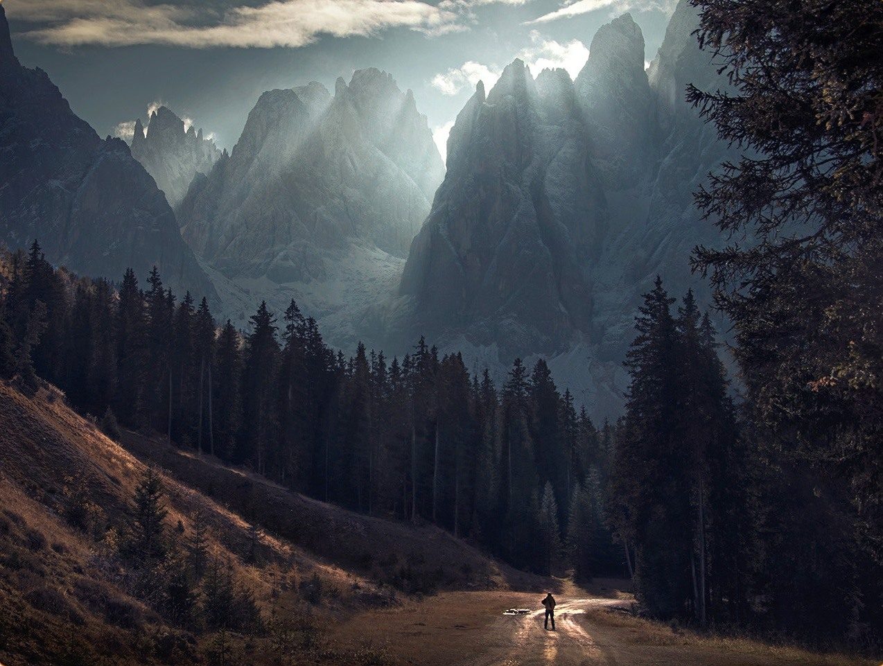 A lone walker on a sunlit path beneath tall trees and misty peaks in the Dolomites.