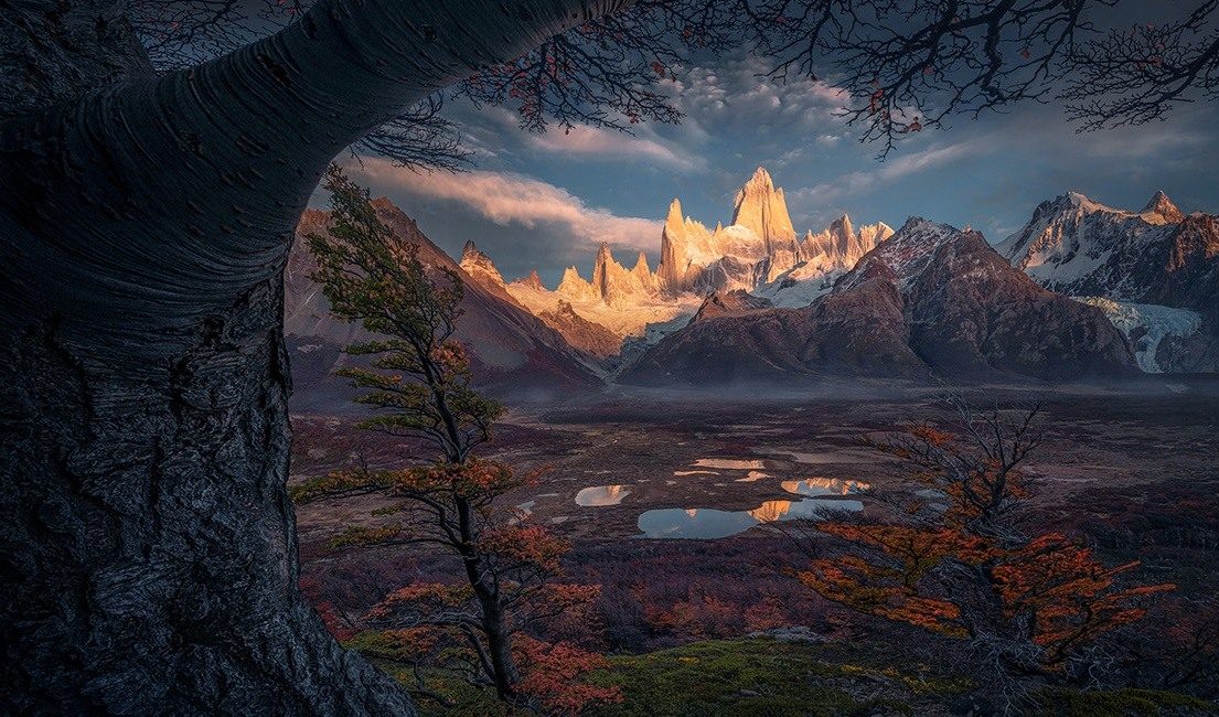 Fitz Roy lit by golden light, framed by a broad tree trunk above autumn woodland and small lakes.